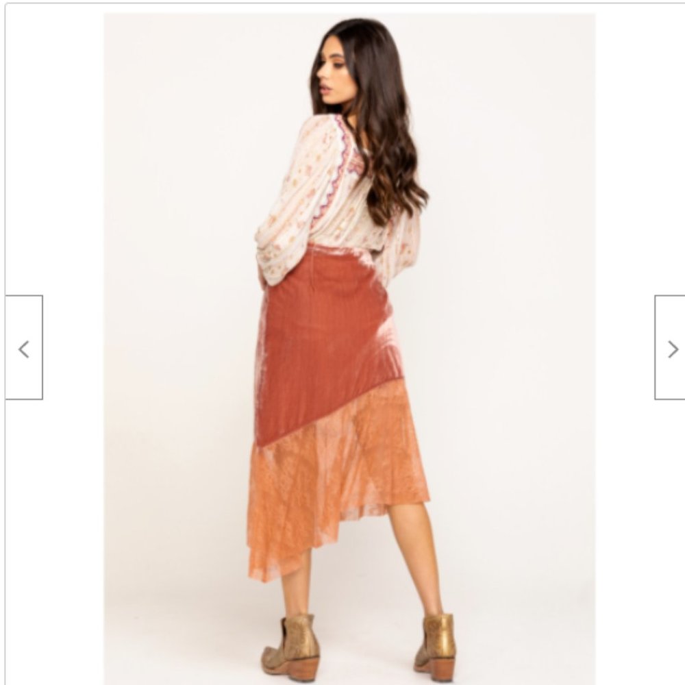 NWT Free People My Lacey Velvet Midi Skirt Sheer - Picture 3 of 6